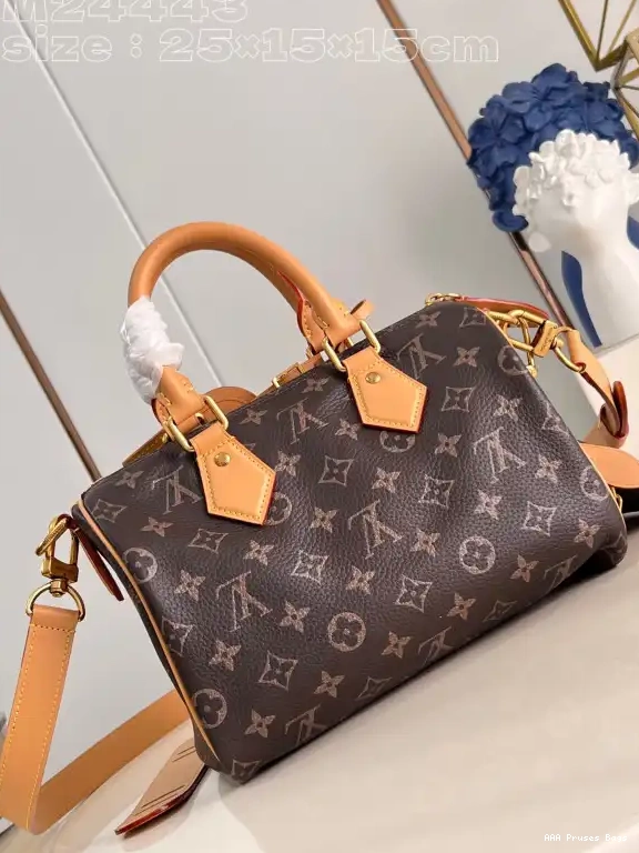 AAA Replica Ru Louis SPEEDY 25 Vuitton 0525